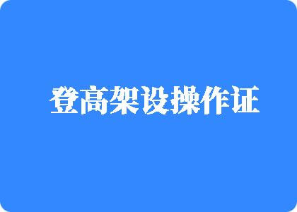 日韩浪逼登高架设操作证